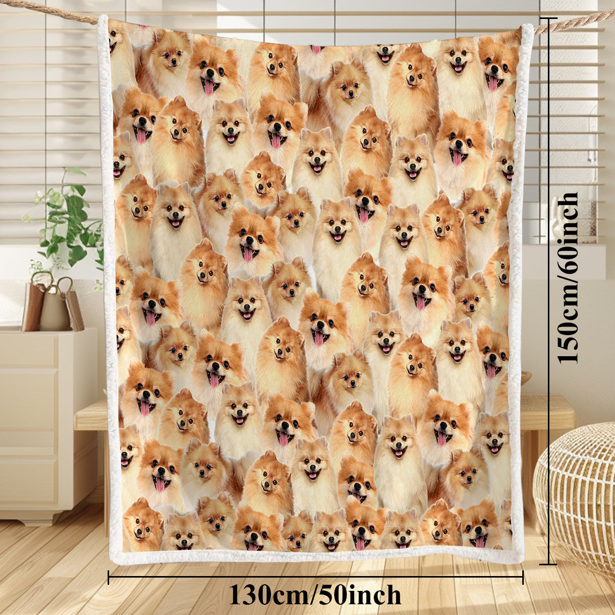 Pattern Poméranie Flèche Blanket filles Brown Sherpa Blanket mignon chien animal léger W