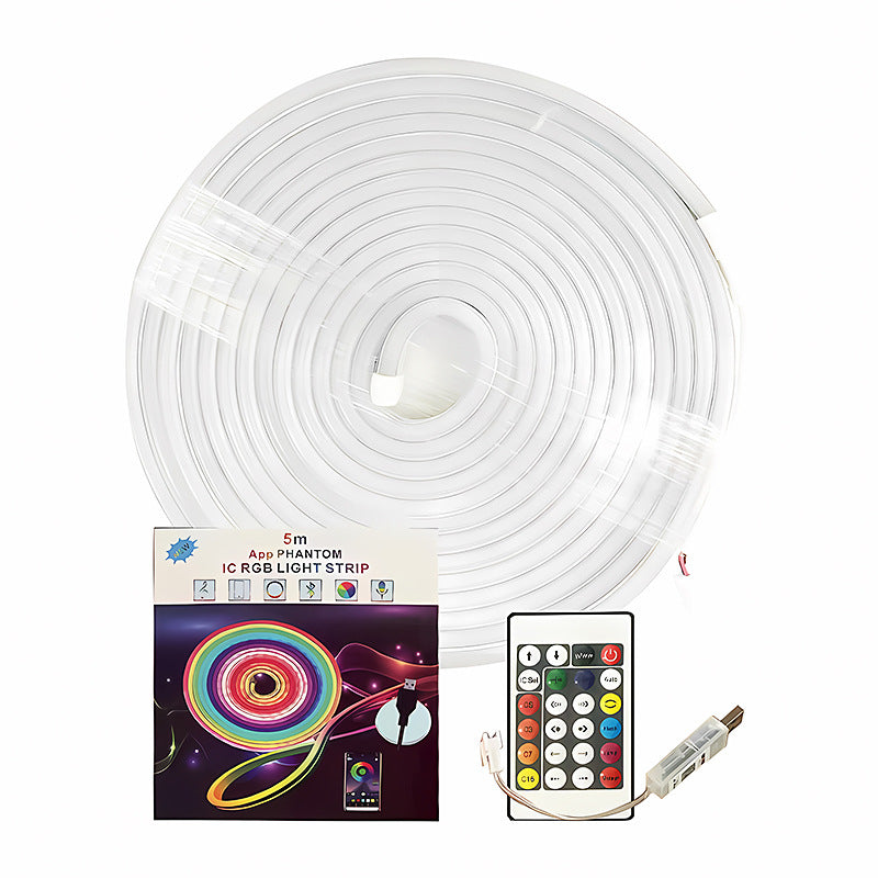 Led faible tension Neon couleur magique costume bande de lumière flexible