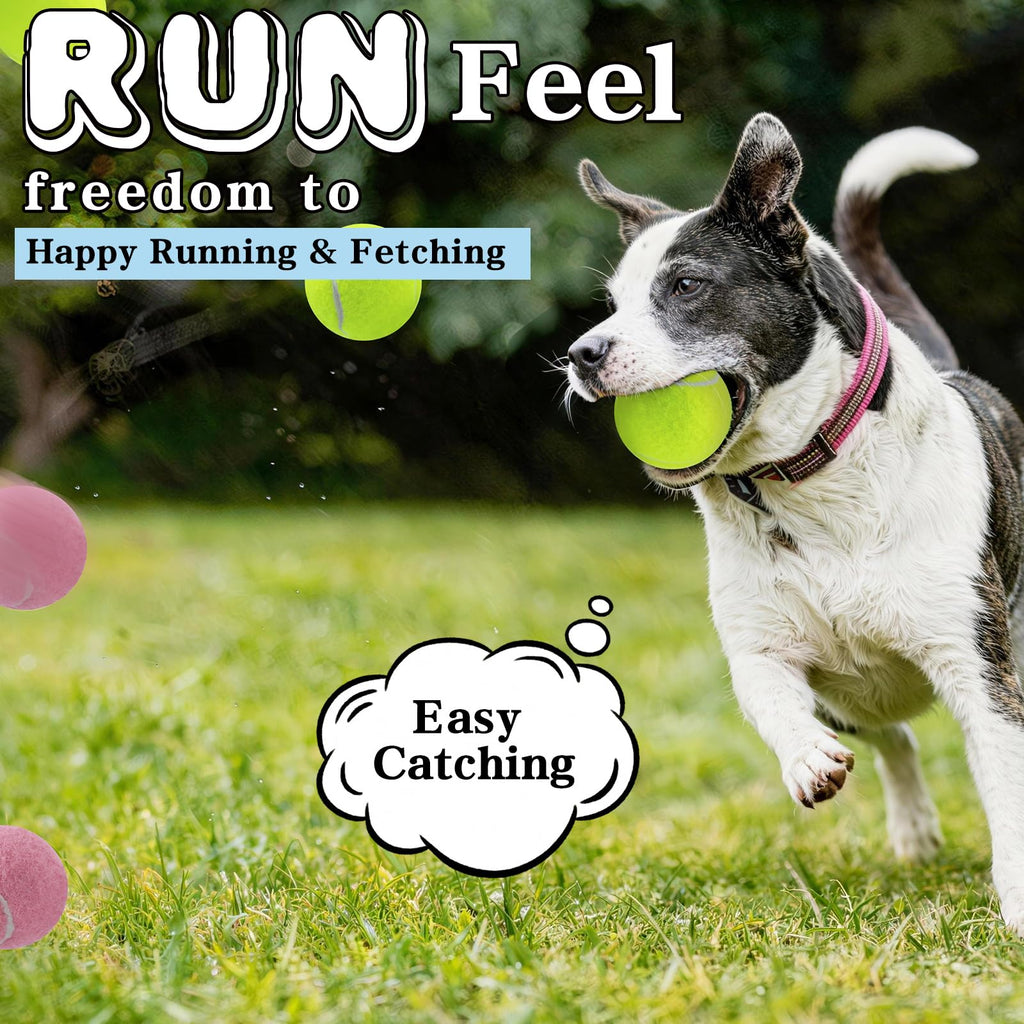 Balles de chien, Balles de tennis pour chiens, Colorful facile d'attraper les animaux jouer balle