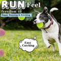 Balles de chien, Balles de tennis pour chiens, Colorful facile d'attraper les animaux jouer balle
