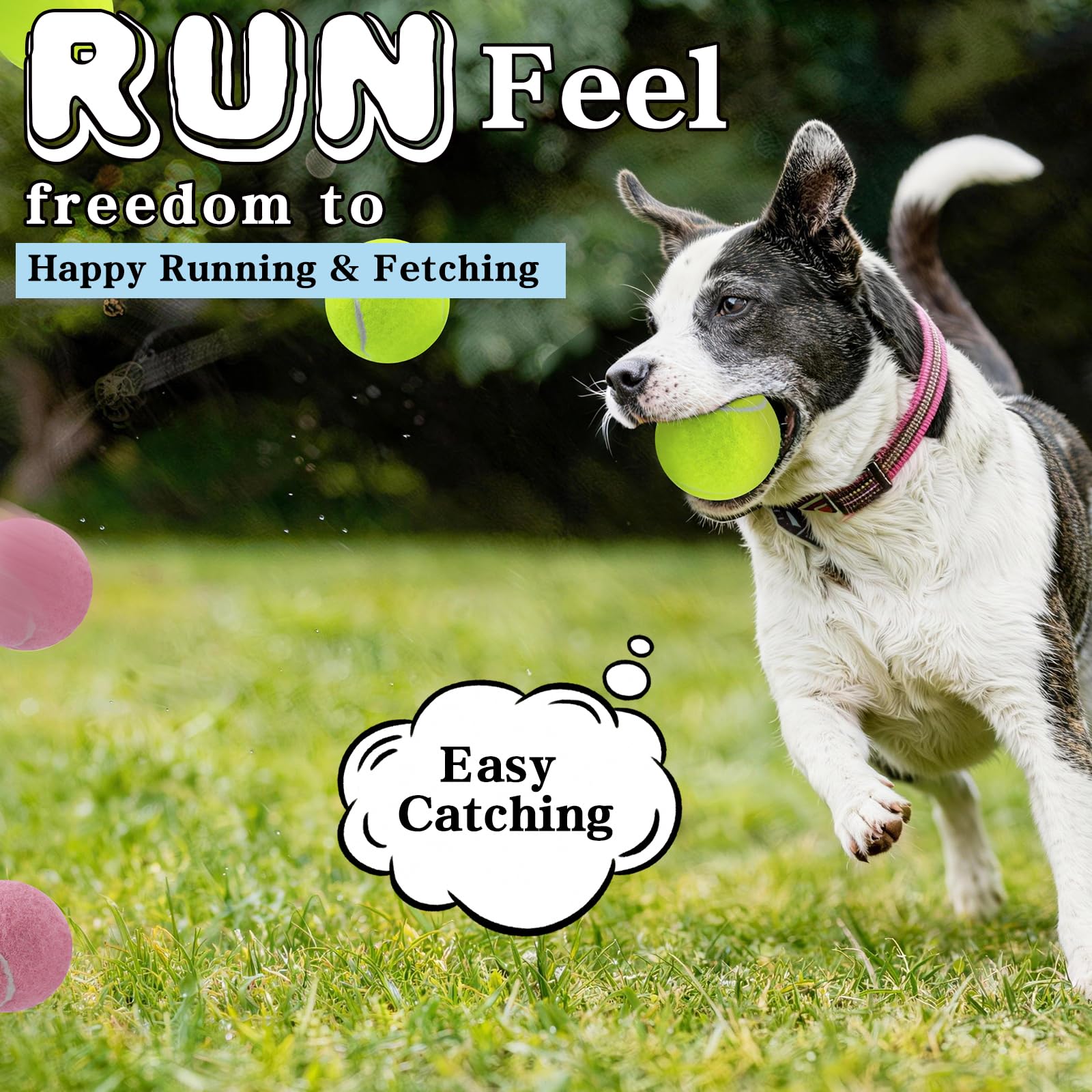 Balles de chien, Balles de tennis pour chiens, Colorful facile d'attraper les animaux jouer balle