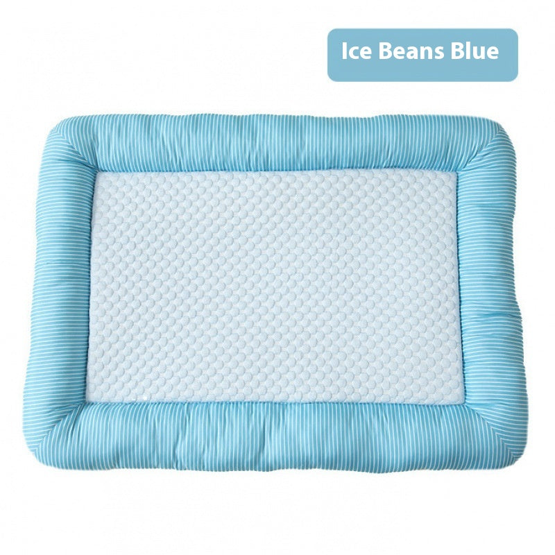 Chien de soie de glace de chat cool