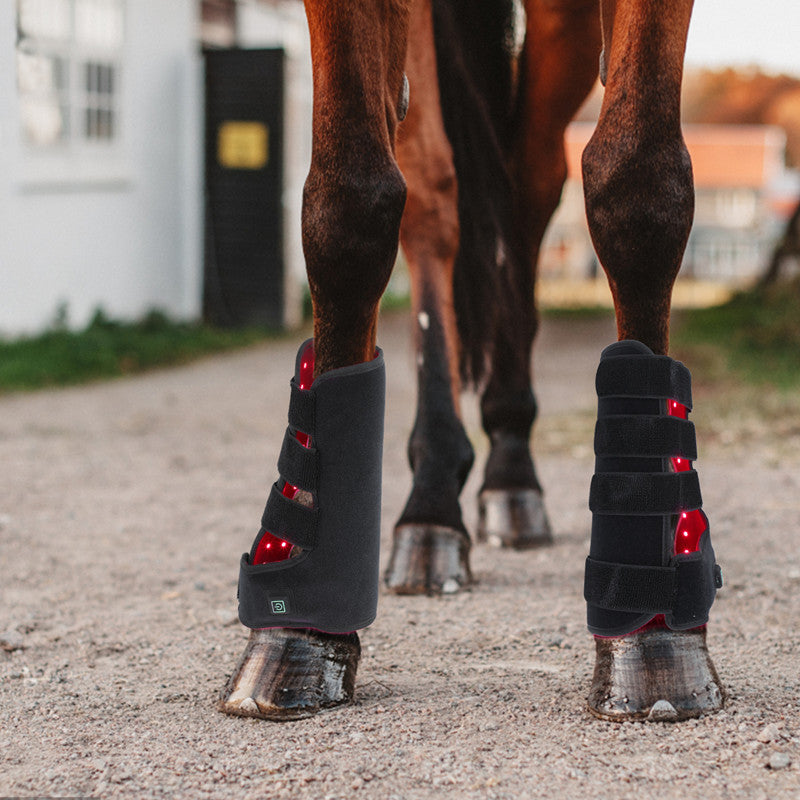 Red Light Infrared Pet Sports Wound Recovery Cheval Leg Photothérapie Portable