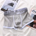Sous-vêtements Hommes Été Jeunes Casual