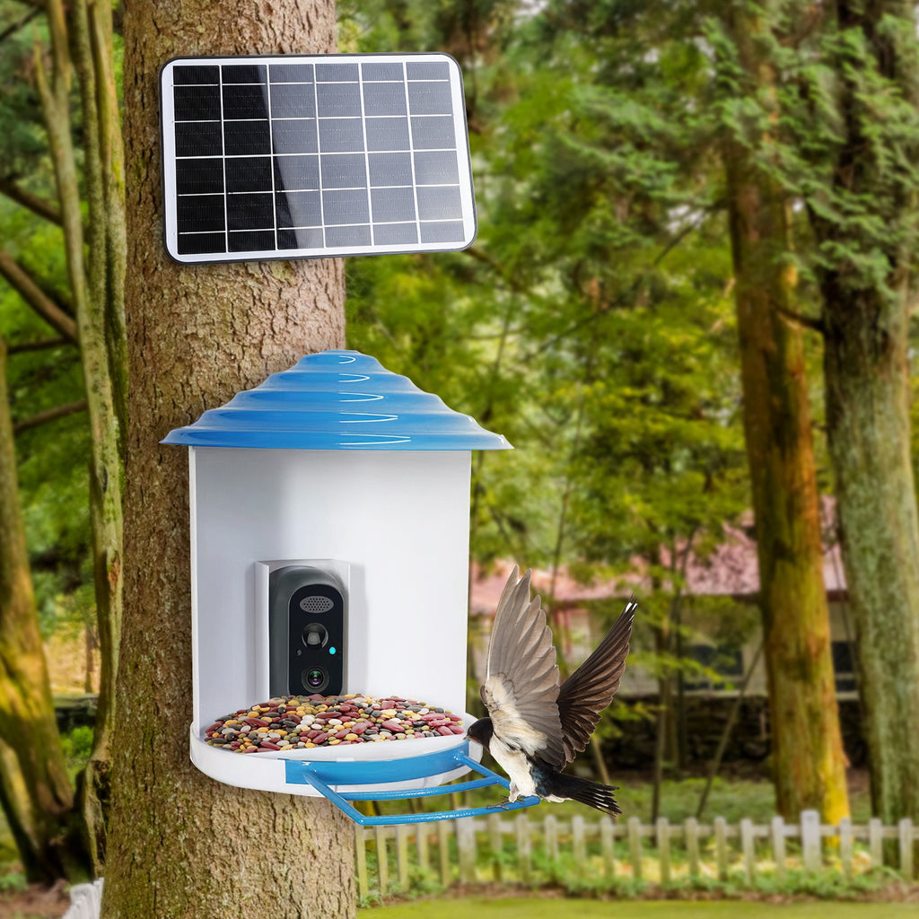 Smart Bird Feeder avec caméra solaire 1080P HD AI identifier PIR Motion Auto Capture V