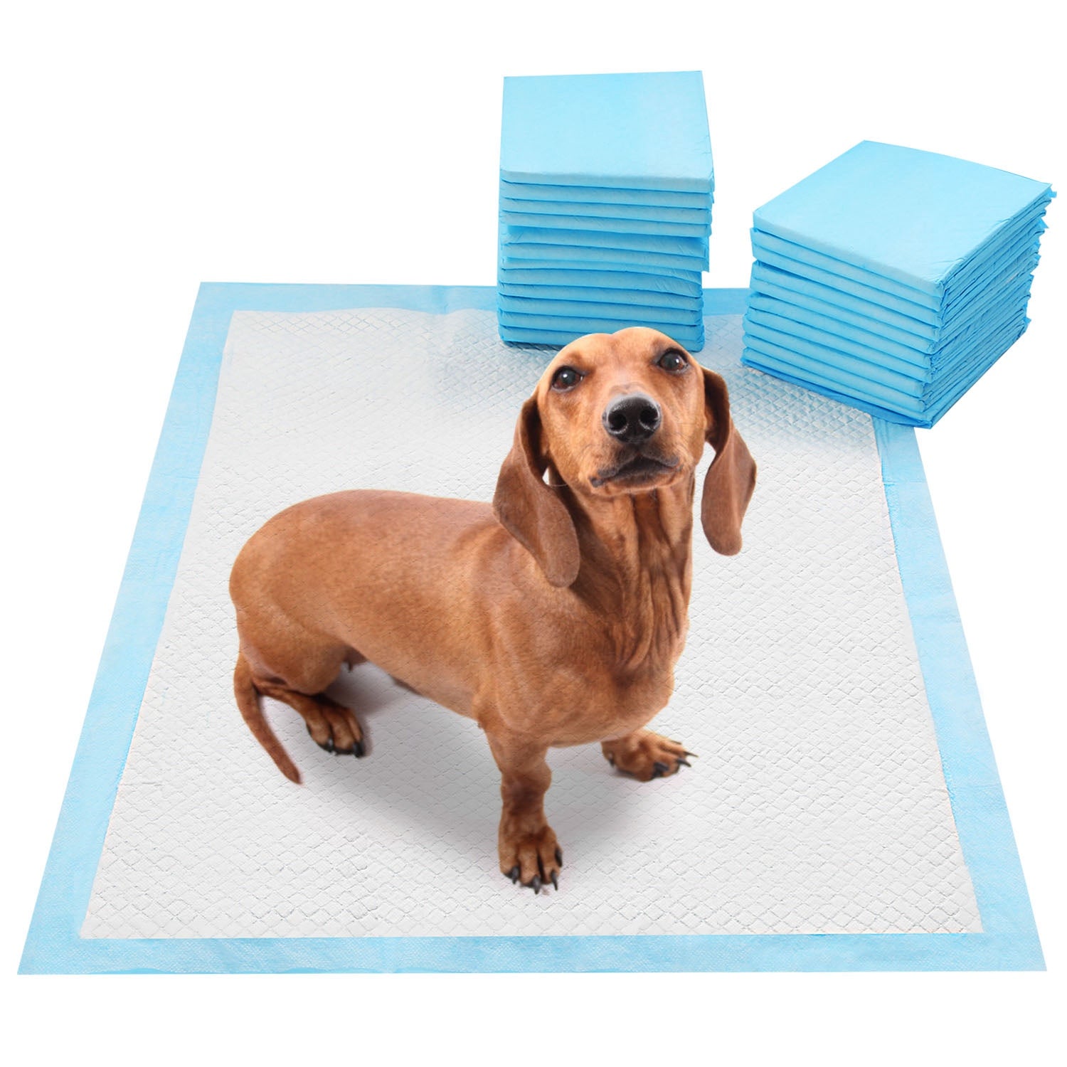 50Pcs par jeu de chiens d'entraînement Pads pour chiots Pads chat Wee Mats Potty-Train 24in X 18in M