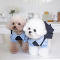 Habillement de chien chaud et mode