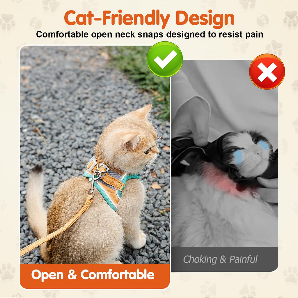 Harnais de chat et laisse