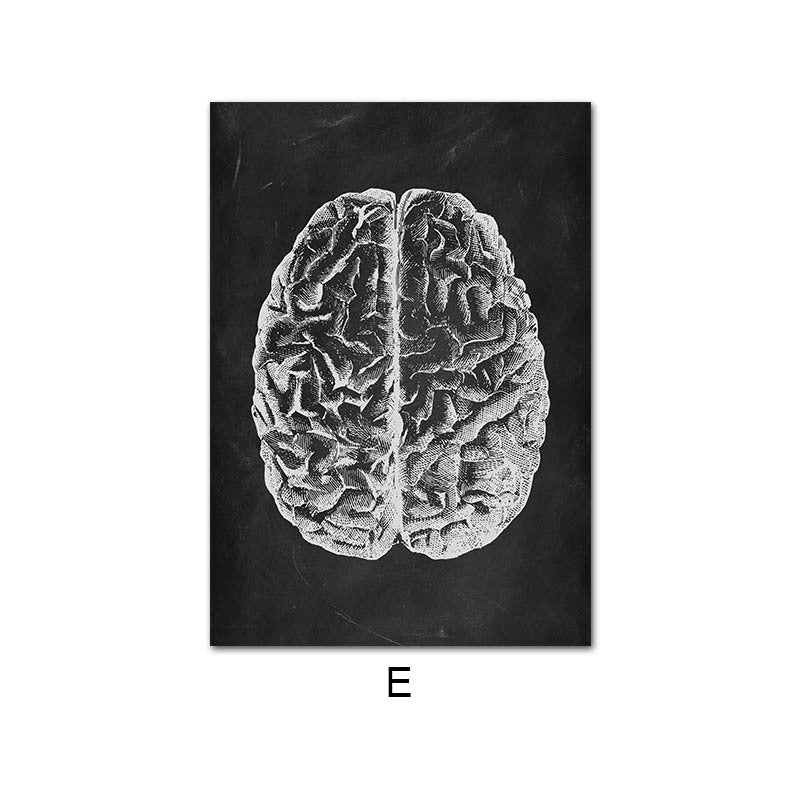 Peinture sur toile du système d'organes de squelette d'anatomie humaine