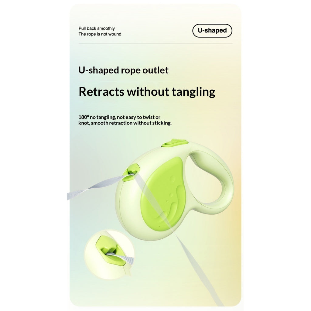 5m laisse rétractable pour animaux avec lampe de poche
