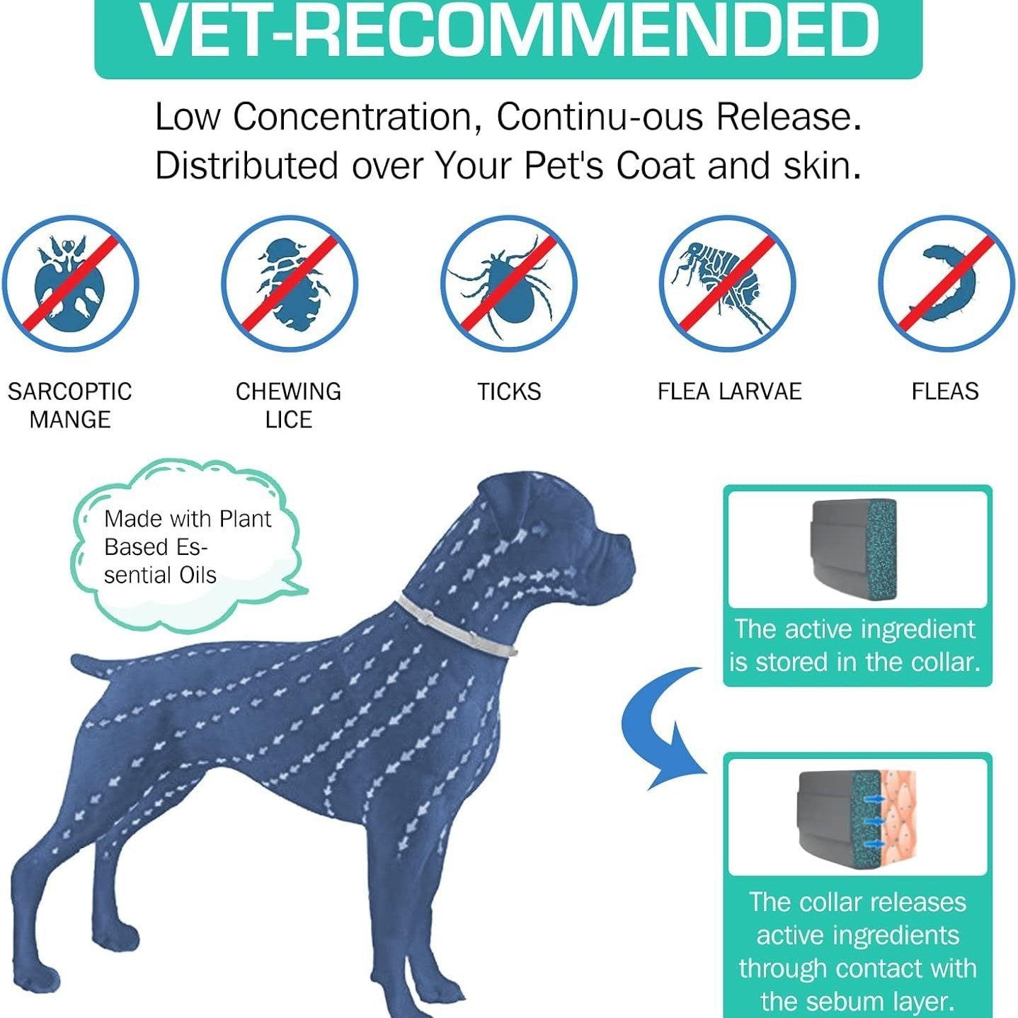 Collier anti-insectes pour chien chat