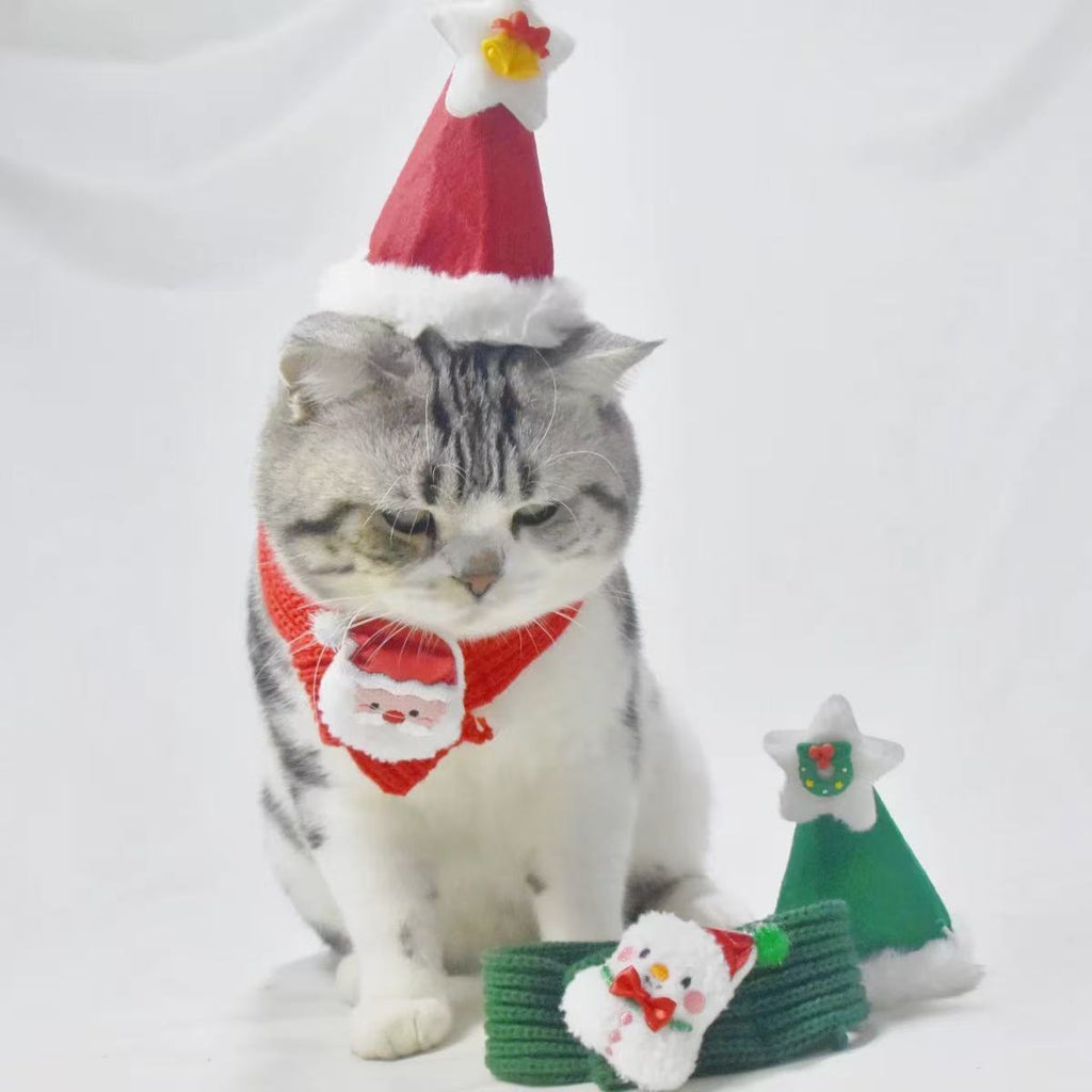 Écharpe tricotée de Noël et chapeau pour chiens et chats