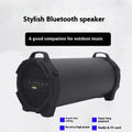 Haut-parleur Bluetooth sans fil Portable