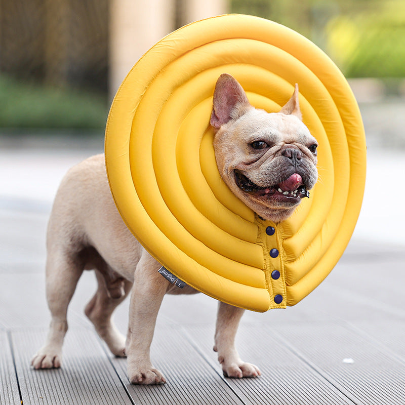 Pet Creative Summer Natation Anneau de protection contre le léchage et le biting