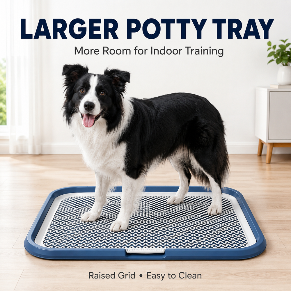 Pot de chien avec grille amovible