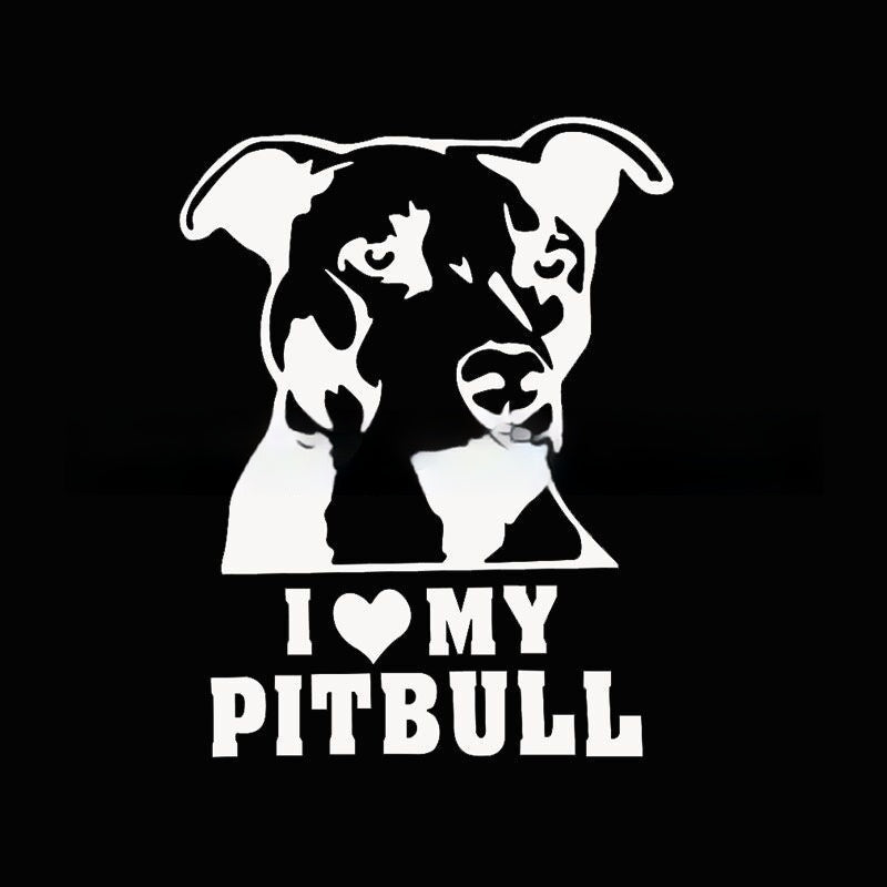 The dog I love my bumper I love my reflective sticker