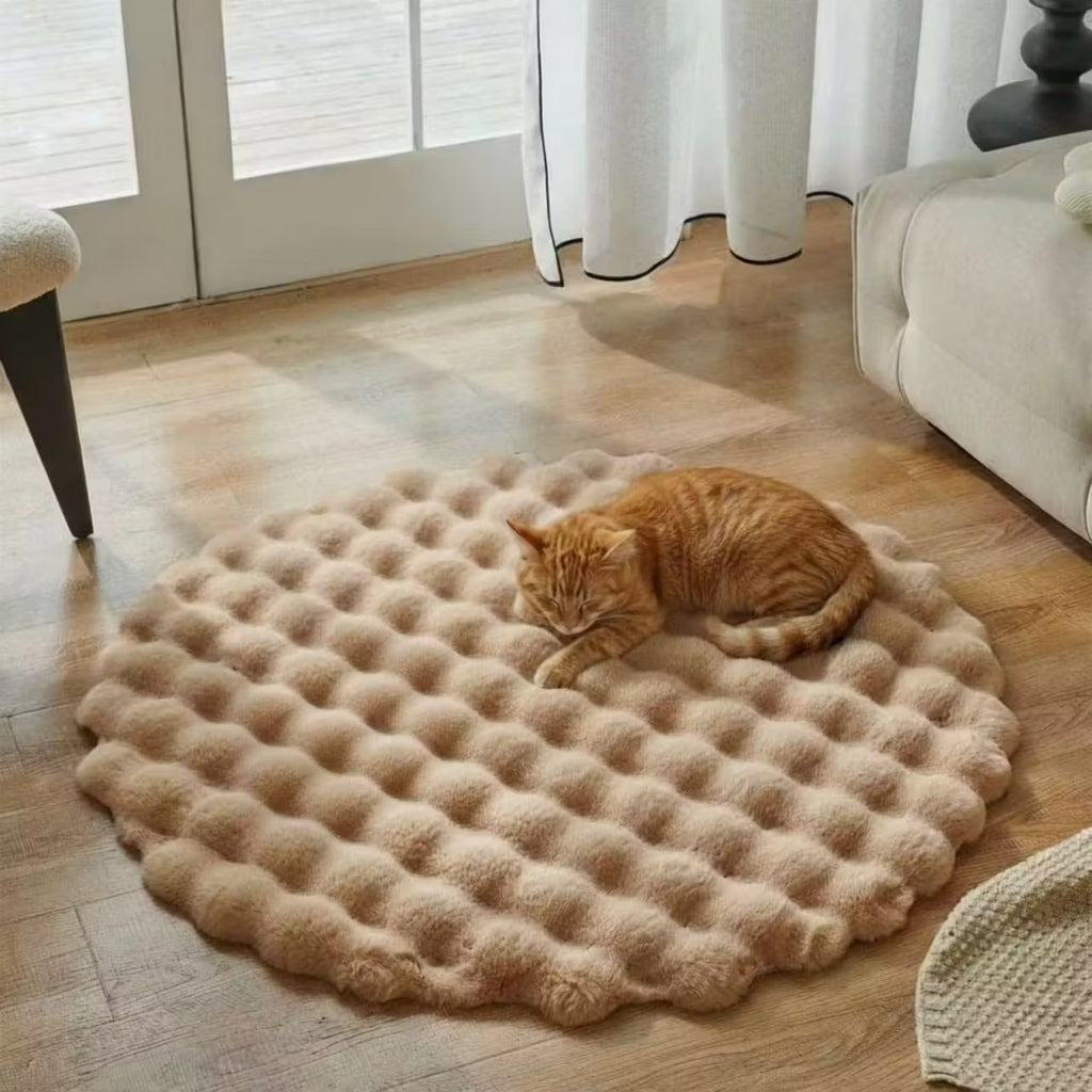 Tapis de chat