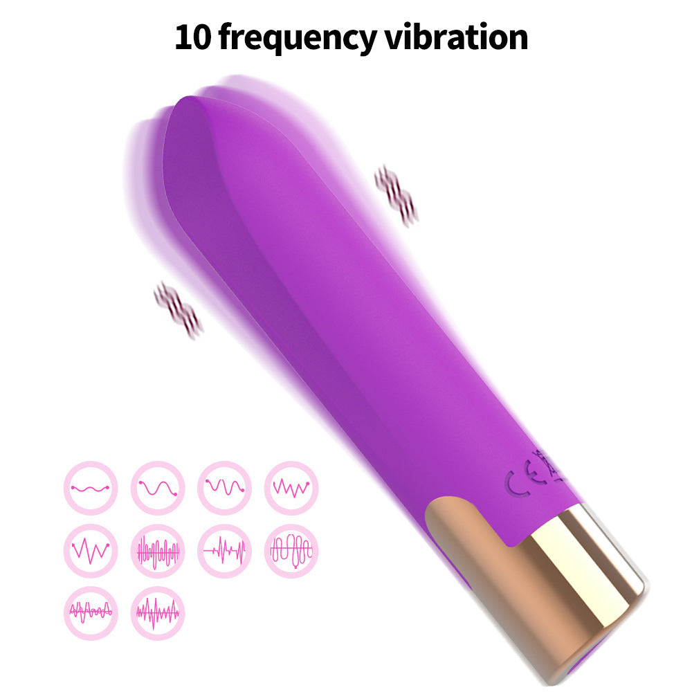 Massage personnel en silicone rechargeable avec 10 modes de vibration et charge magnétique USB
