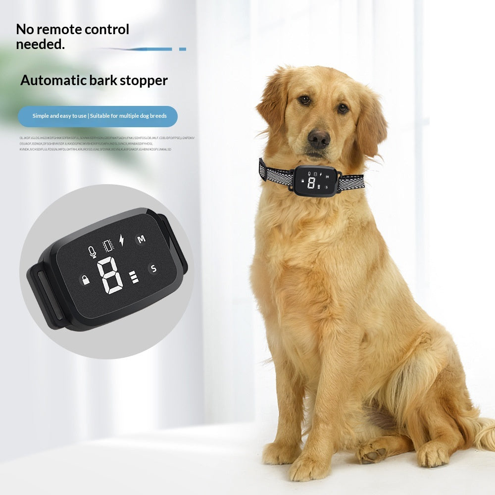 Collier d'entraînement de chien d'affichage numérique.