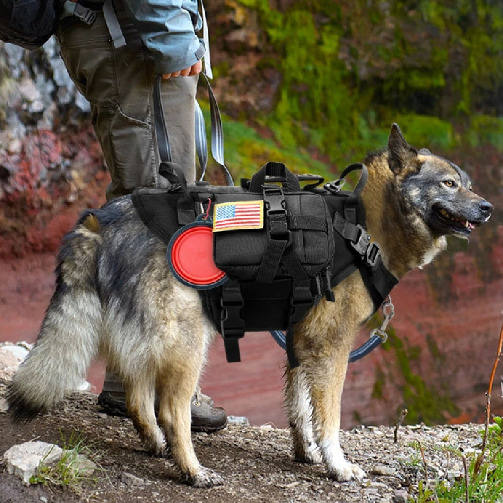 Veste de chien en nylon rembourré à la mode et personnalisée
