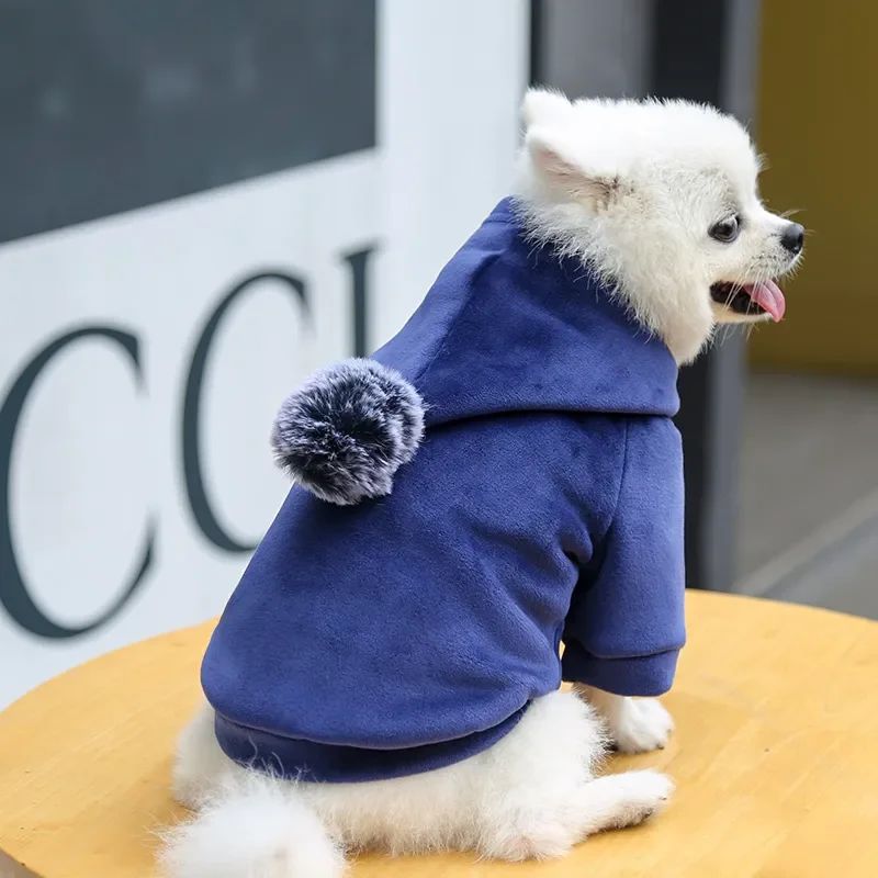 Animaux de compagnie Cat Vêtements Fleece Hairball à capuche Veste Hiver Kitty Petits chiens moyens Chats