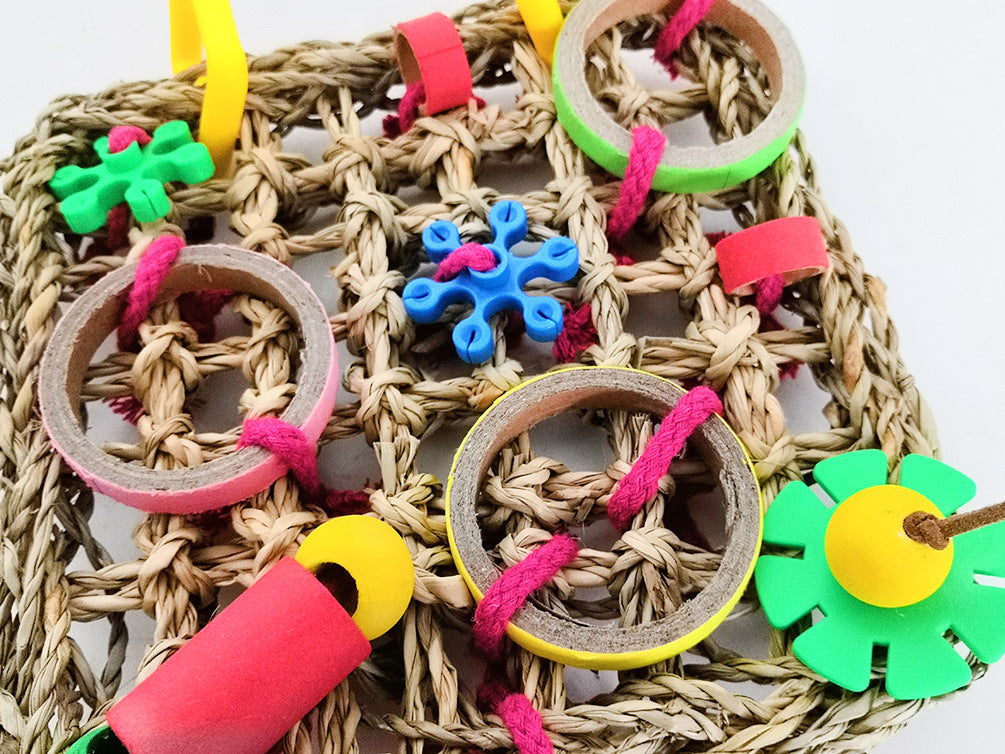 Bite de perroquet couleur construction blocs jouet