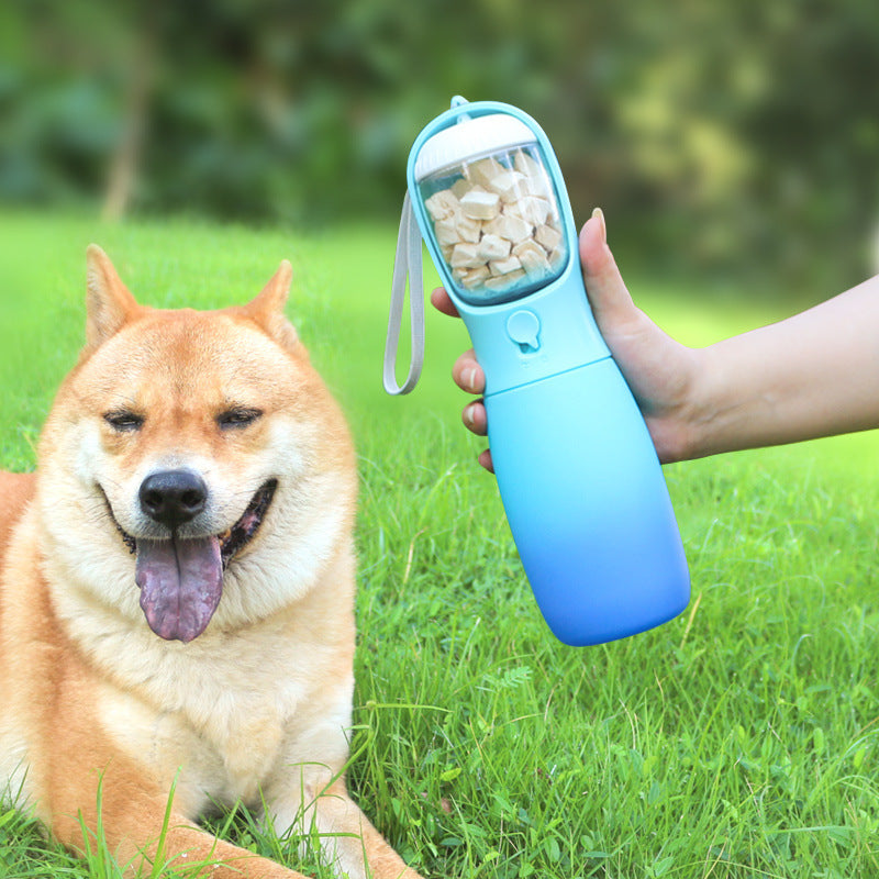 Bouteille d'eau pliable portable couleur dégradée