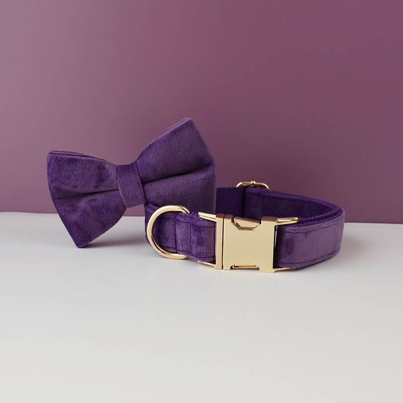 Collier de chien en peluche et fournitures pour animaux de compagnie en laisse