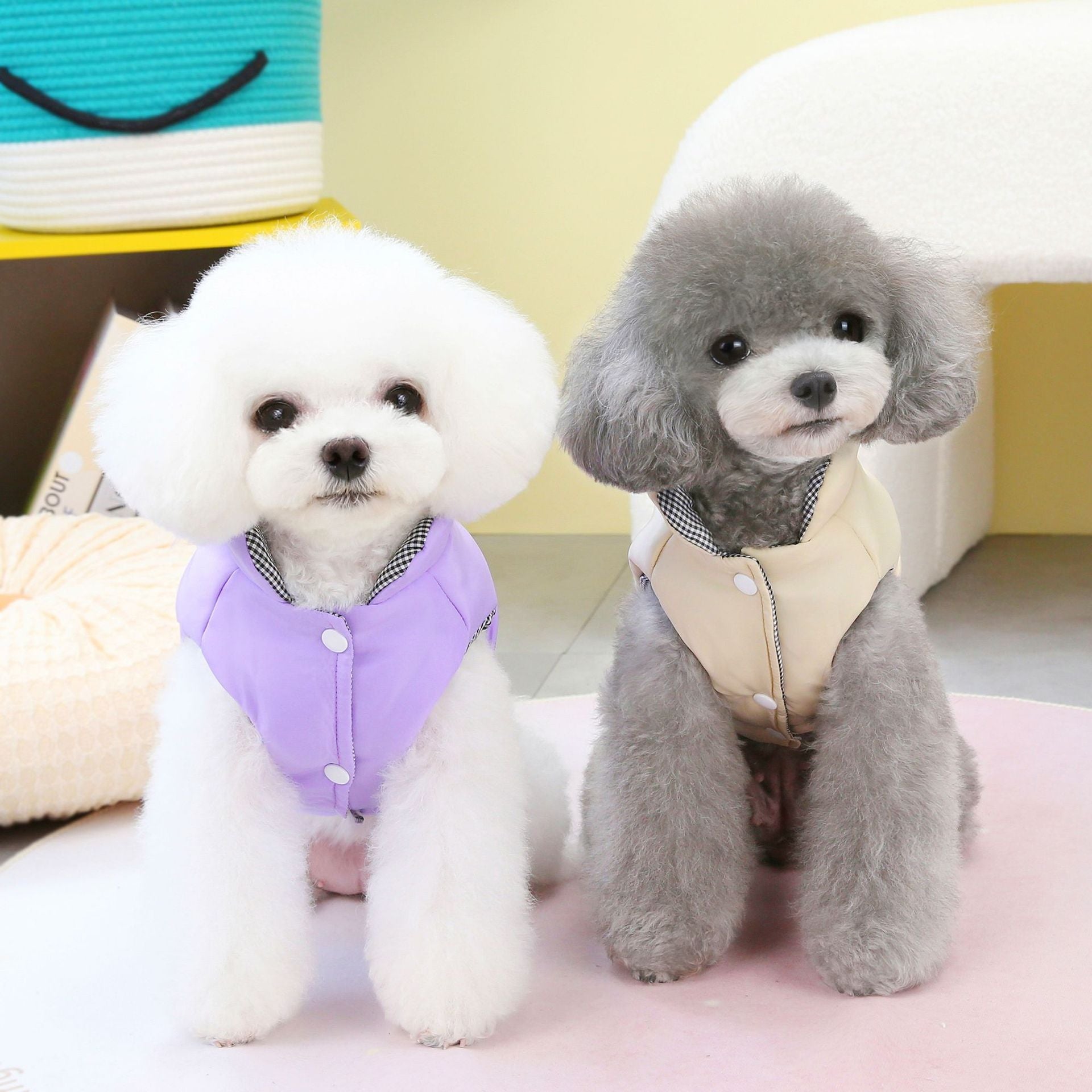 Vêtements de chien d'hiver Veste de coton