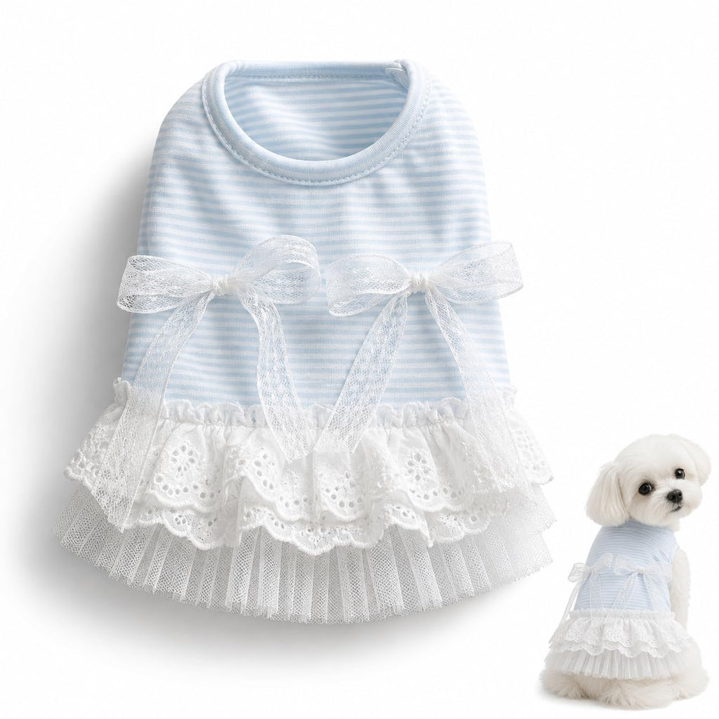 Robe de chien mignon sans manches