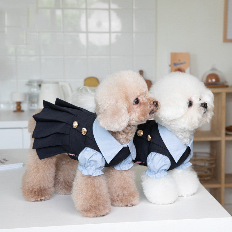 Habillement de chien chaud et mode