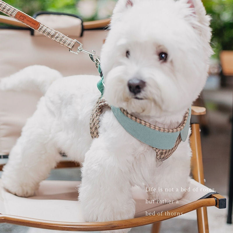 Harnais de chien de la mode petit Vest Rope