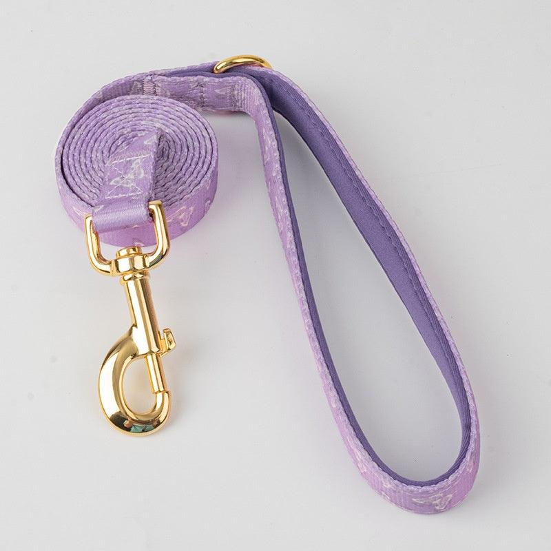 Chien Outfit Pet Extra-large Collier et laisse