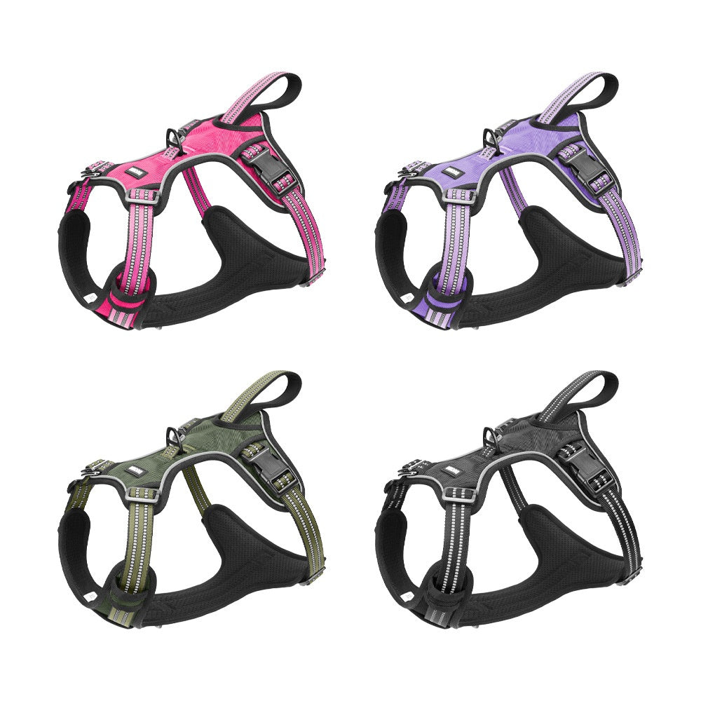 Harnais pour chien léger à double usage pour traction automobile