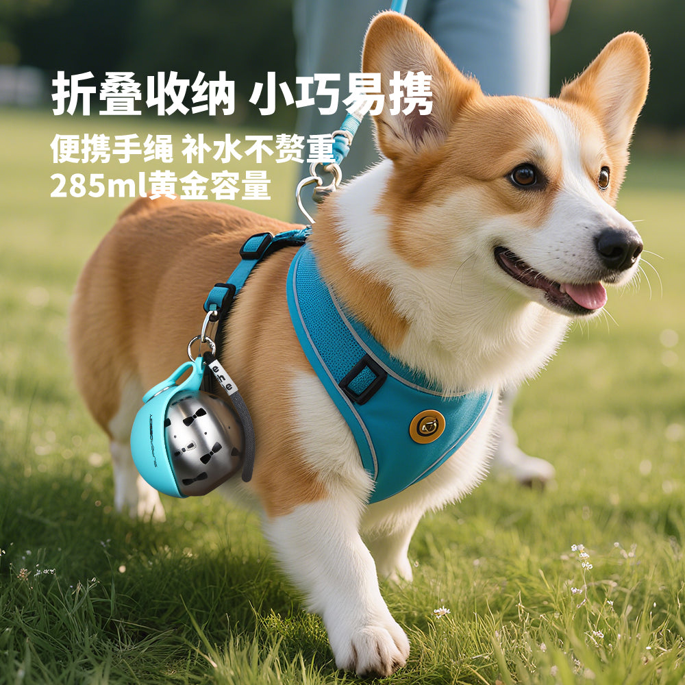 Portable Foldable Silicone Pet Water Bottle