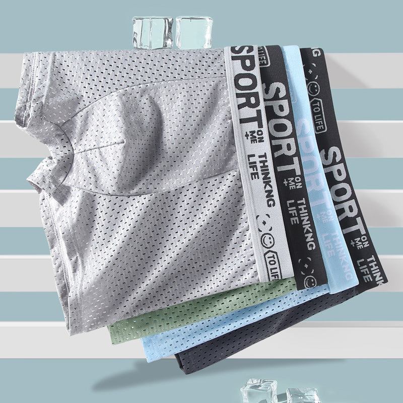 Sous-vêtements Hommes Ice Silk Mesh Boxers