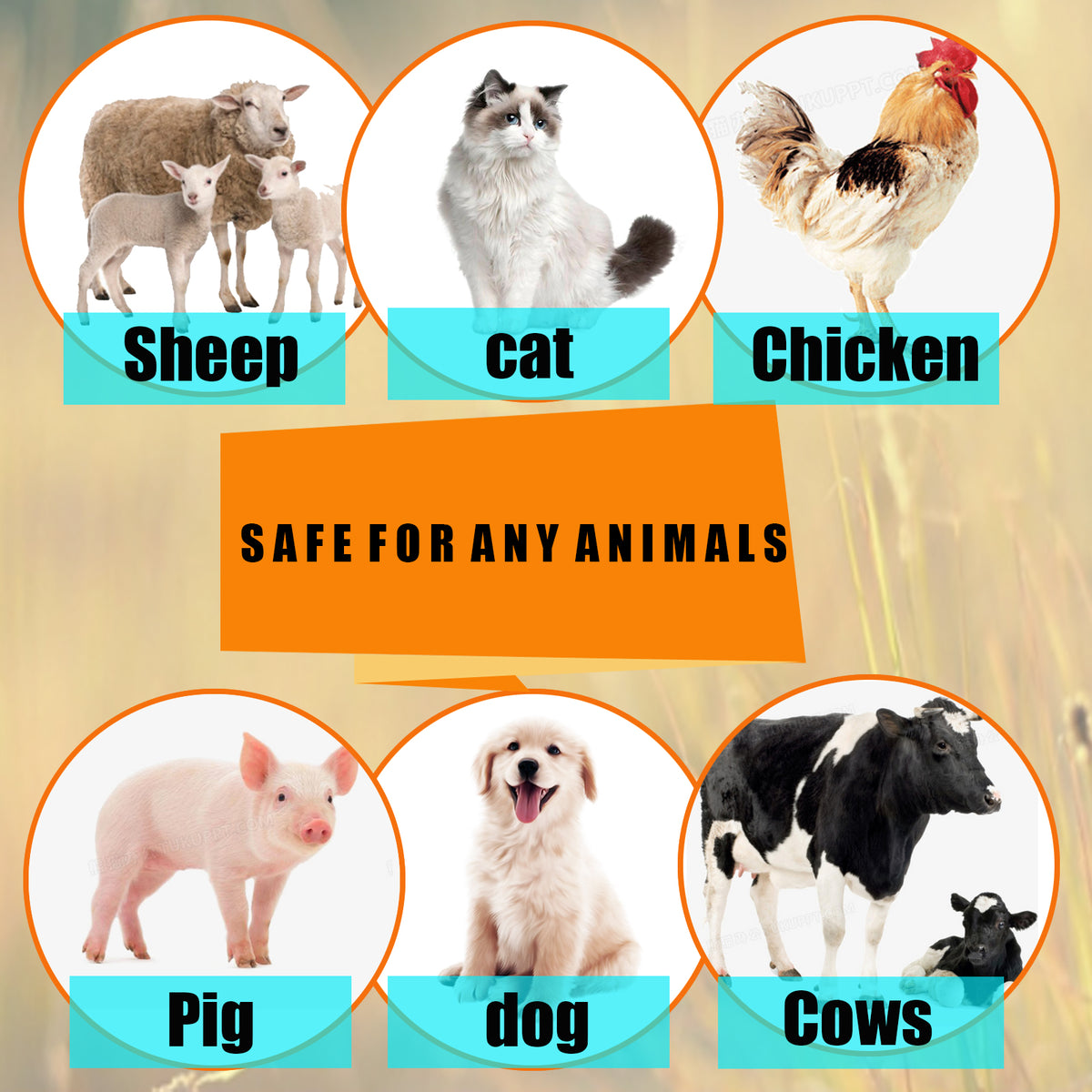 Spray anti-vol et anti-pestif pour animaux de compagnie 25ml