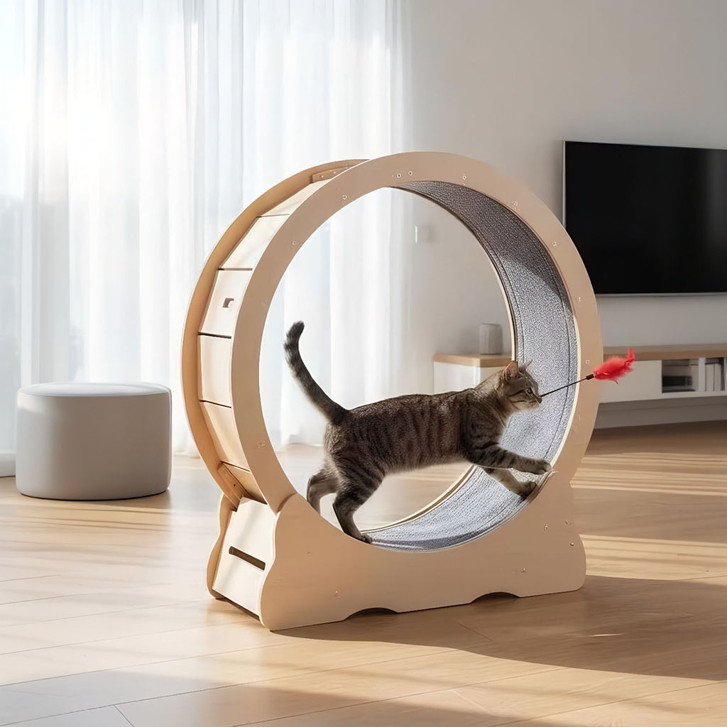 Roue de chat, Grand tapis de chat pour les animaux domestiques, Cats Exercise Roue avec Detachabl