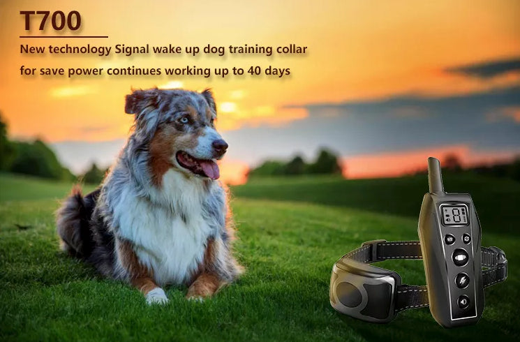 650 YD Remote Dog Training Choc Collar Imperméable pour petits chiens de taille moyenne