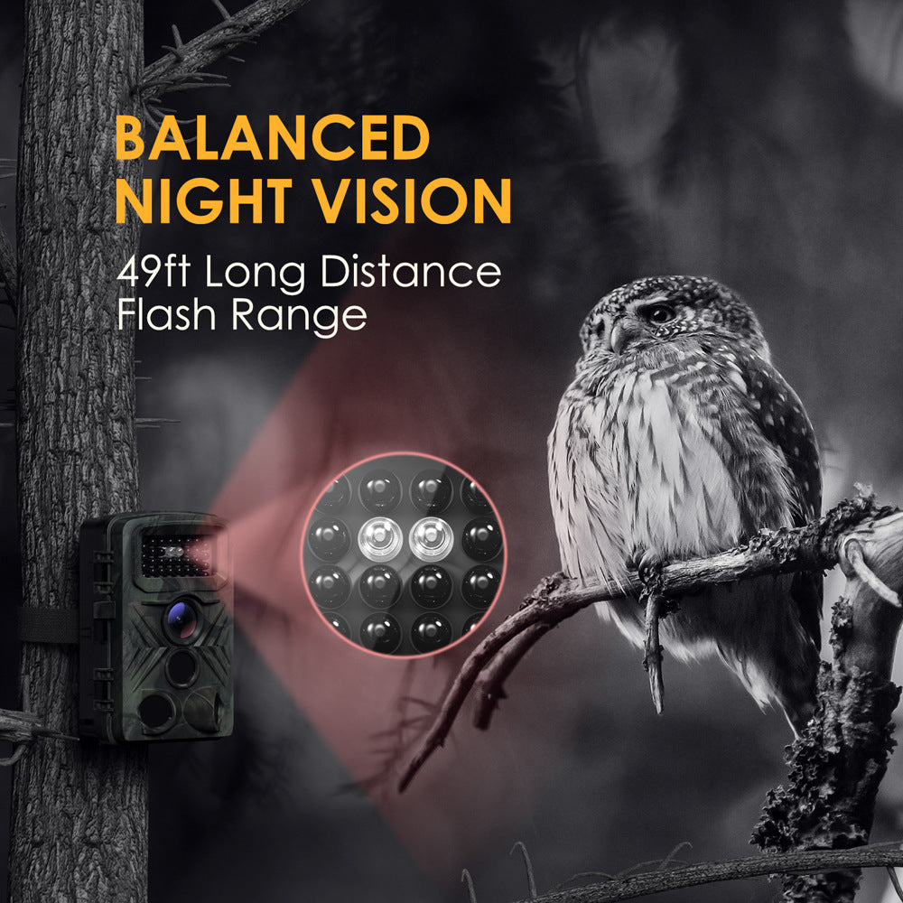 Caméra de chasse infrarouge HD Surveillance étanche