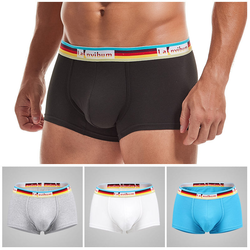 Sous-vêtements pour hommes en coton taille moyenne Rainbow Belt Boxer Short