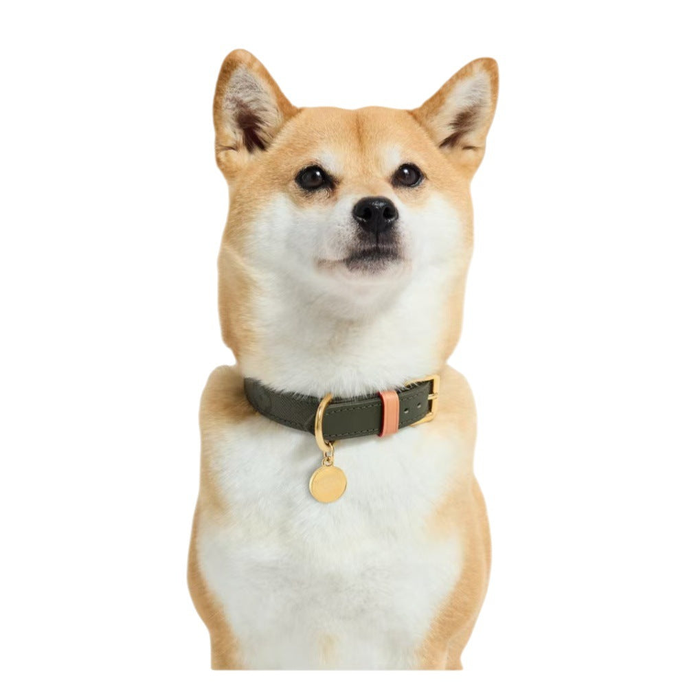Collier en cuir véritable animal de luxe abordable