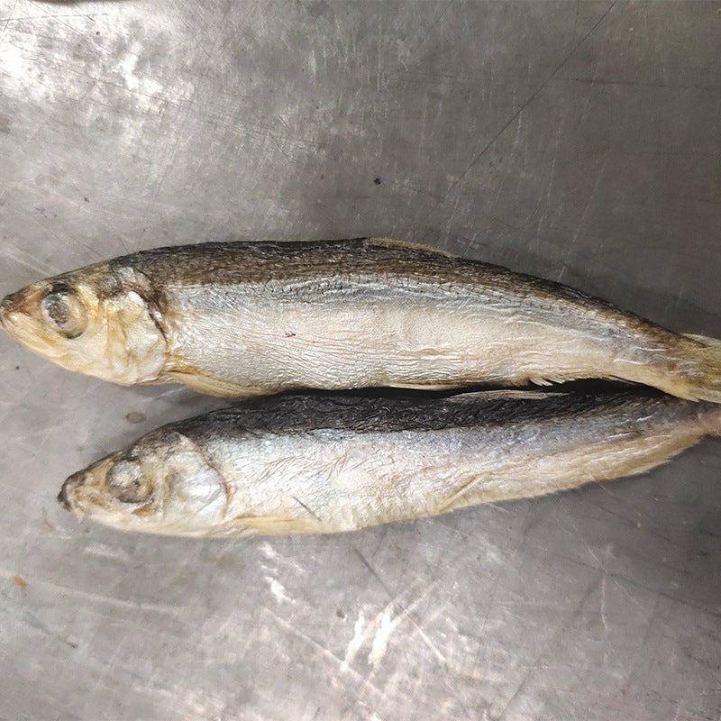 Sardine Gelées séchées pour animaux de compagnie