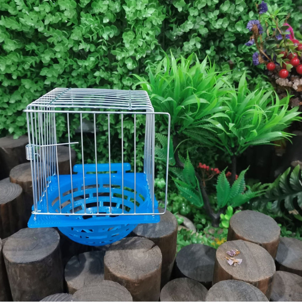 Petit perroquet nicheur Nid d'oiseaux