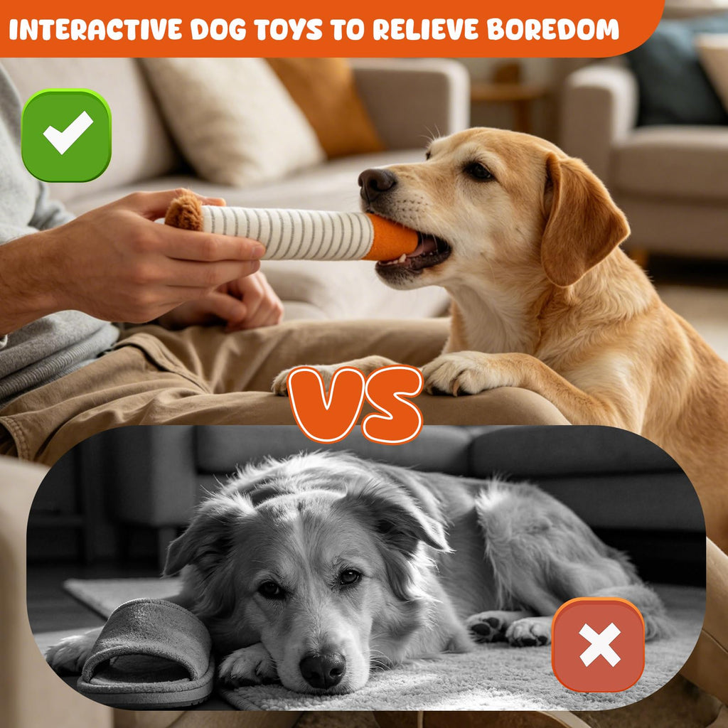 Jouets drôles pour chiens pour petits chiens moyens