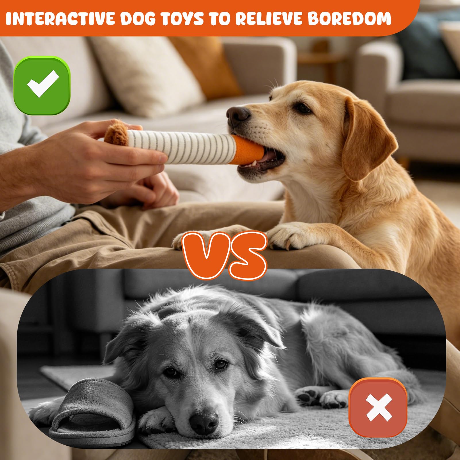 Jouets drôles pour chiens pour petits chiens moyens