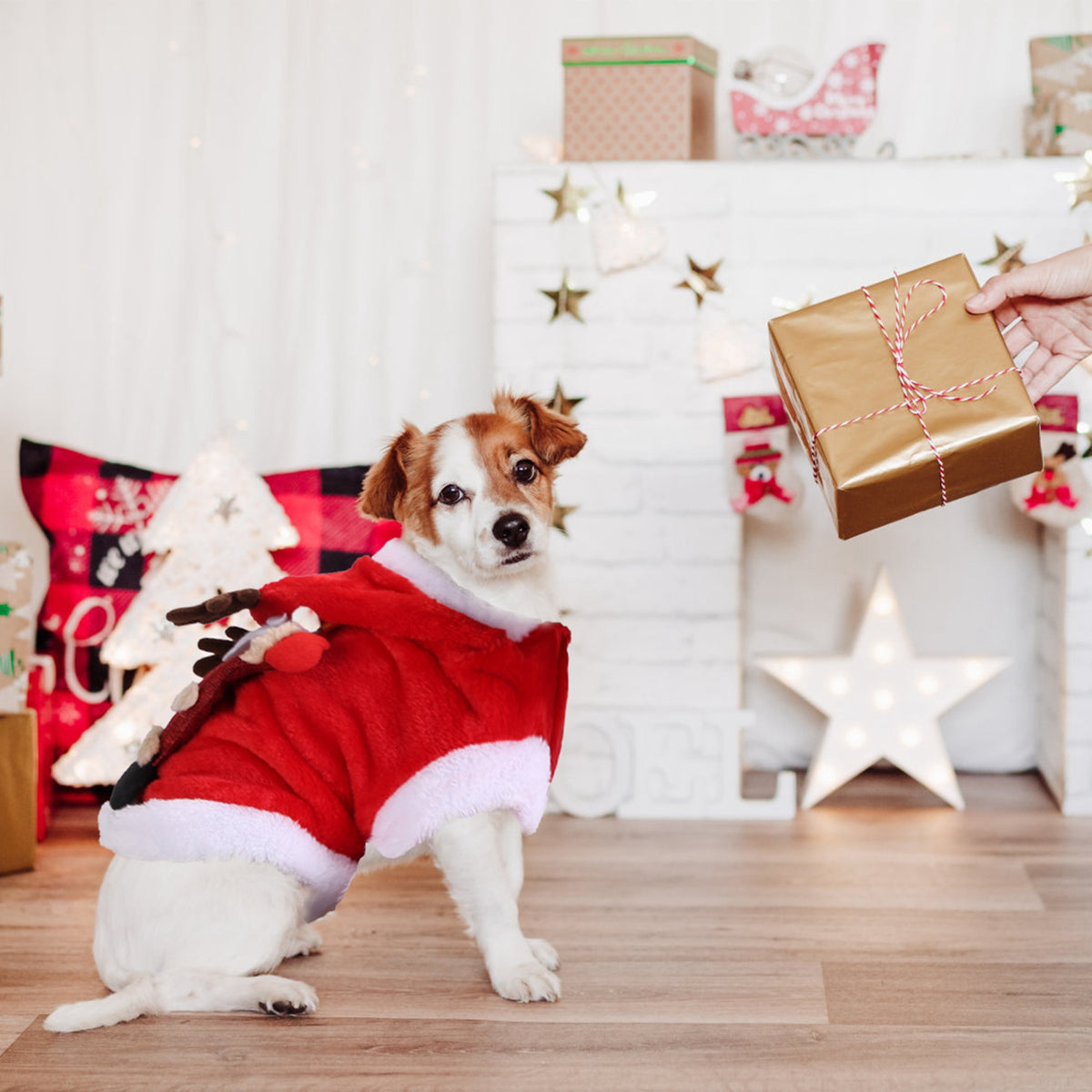 1Pc Vêtements de Noël pour animaux de compagnie Costume de renne de père Noël