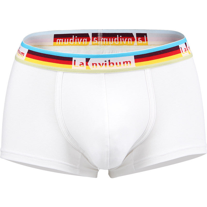 Sous-vêtements pour hommes en coton taille moyenne Rainbow Belt Boxer Short