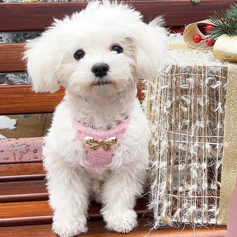 Chien Fleece Vest Cost Strap Pet Hand Holding Rope