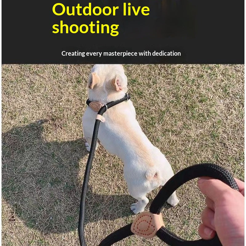 Leash de chien Anti-pull Chaîne P Leash de marche
